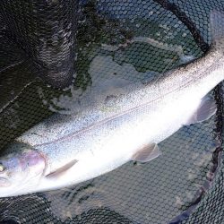 なんとか６０オーバーをキャッチ